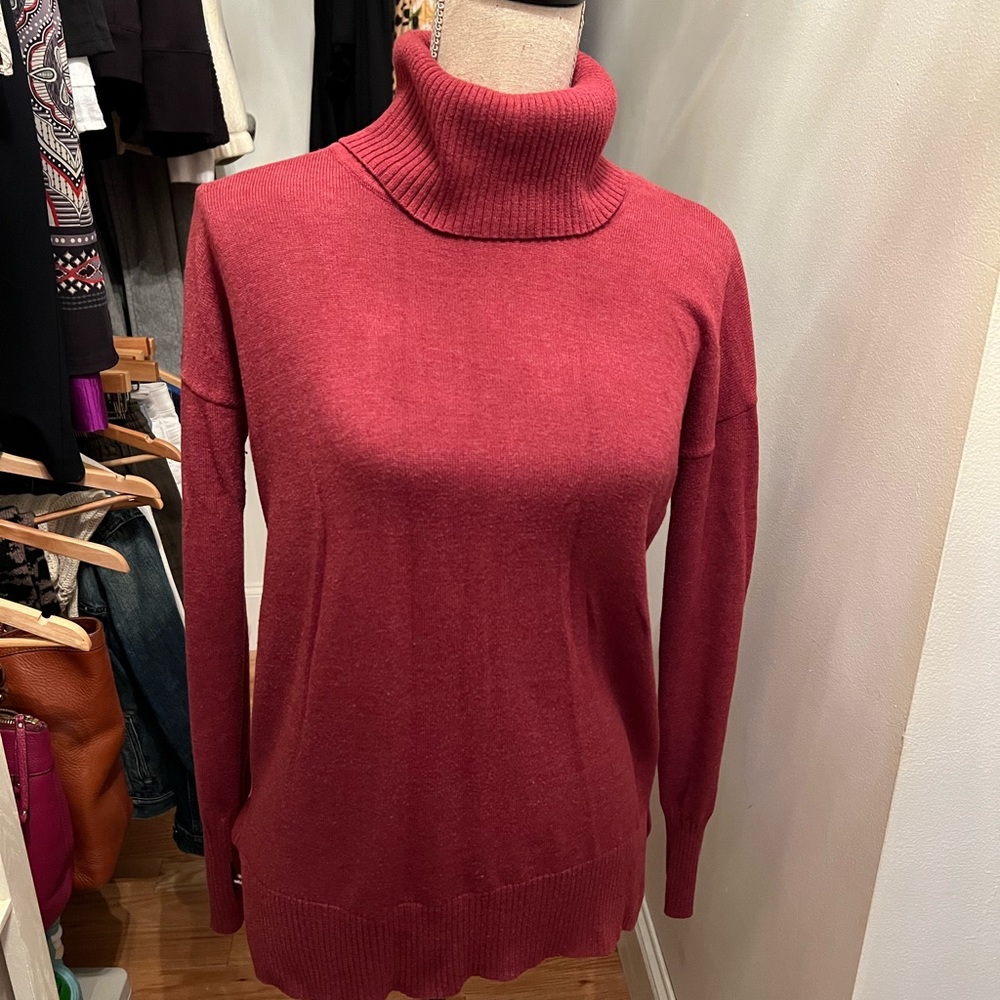 Max Studio Turtleneck Sweater